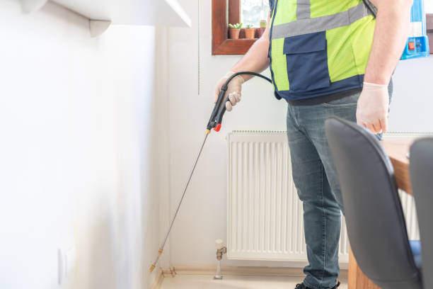 Best Local Pest Control Services  in Wildomar, CA