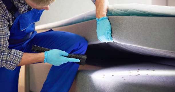 Best Rat Extermination Near Me  in Wildomar, CA